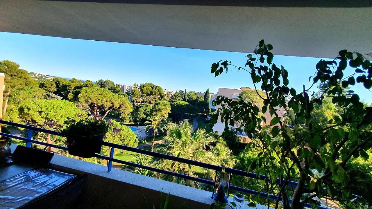 Beau T1 Cannes Piscine Tennis Francie